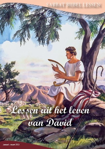 Omslag Lessen uit het leven van David